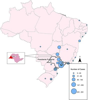 Primary Immunodeficiencies in a Mesoregion of São Paulo, Brazil: Epidemiologic, Clinical, and Geospatial Approach